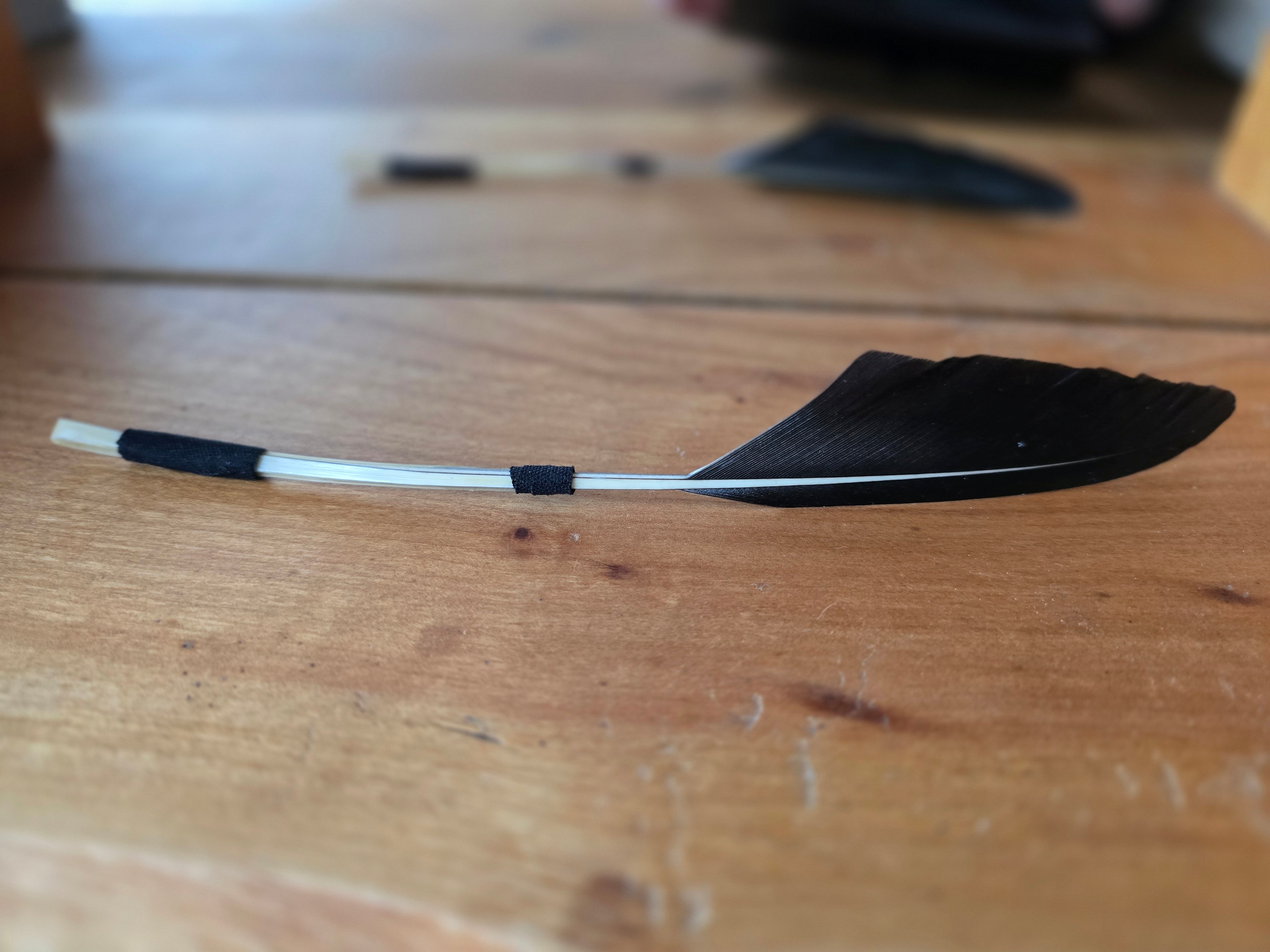 Feather quill plectrum