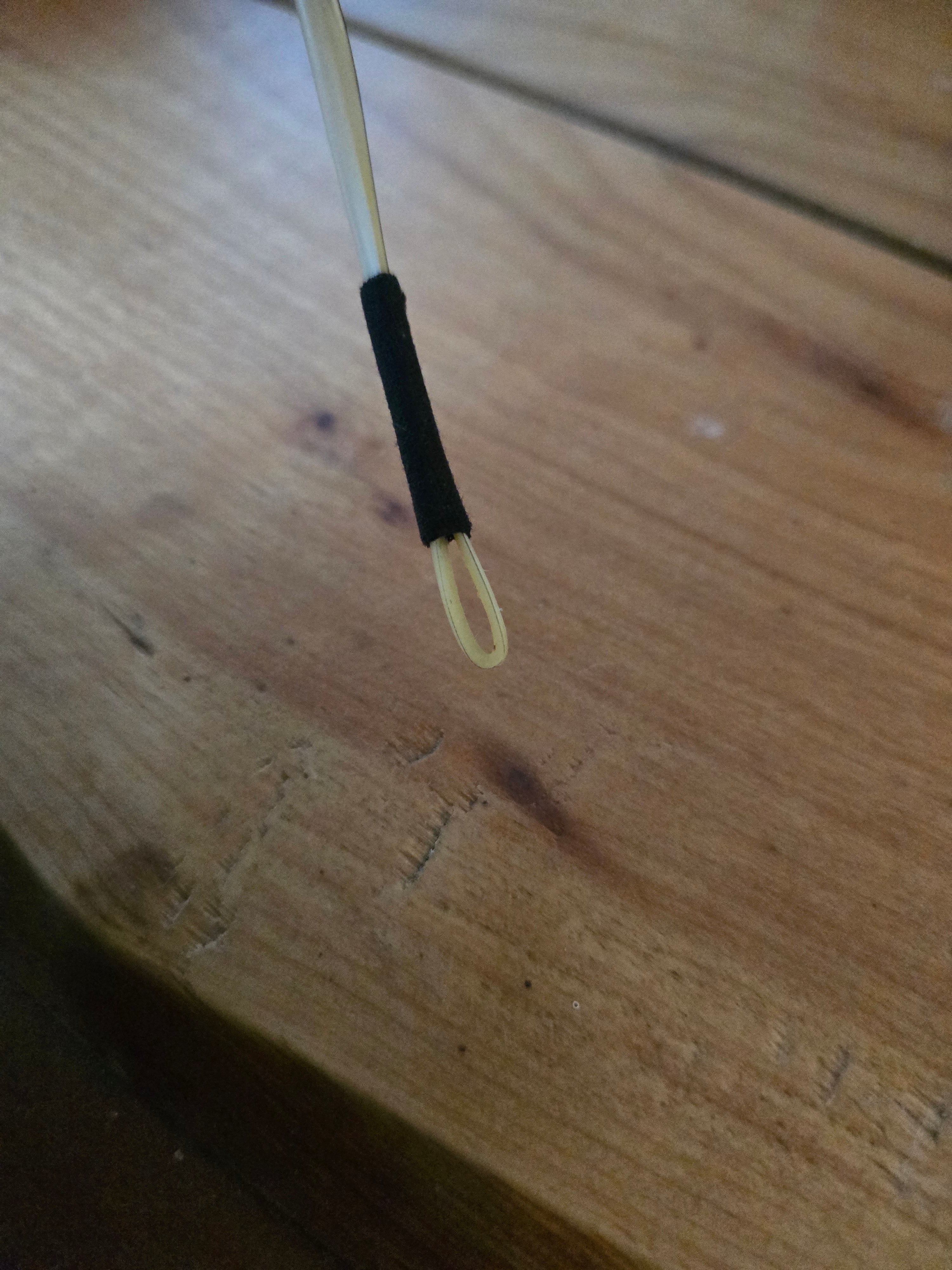 Feather quill plectrum