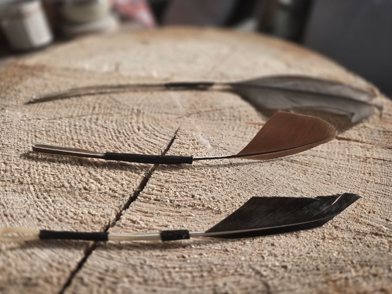 Feather quill plectrum