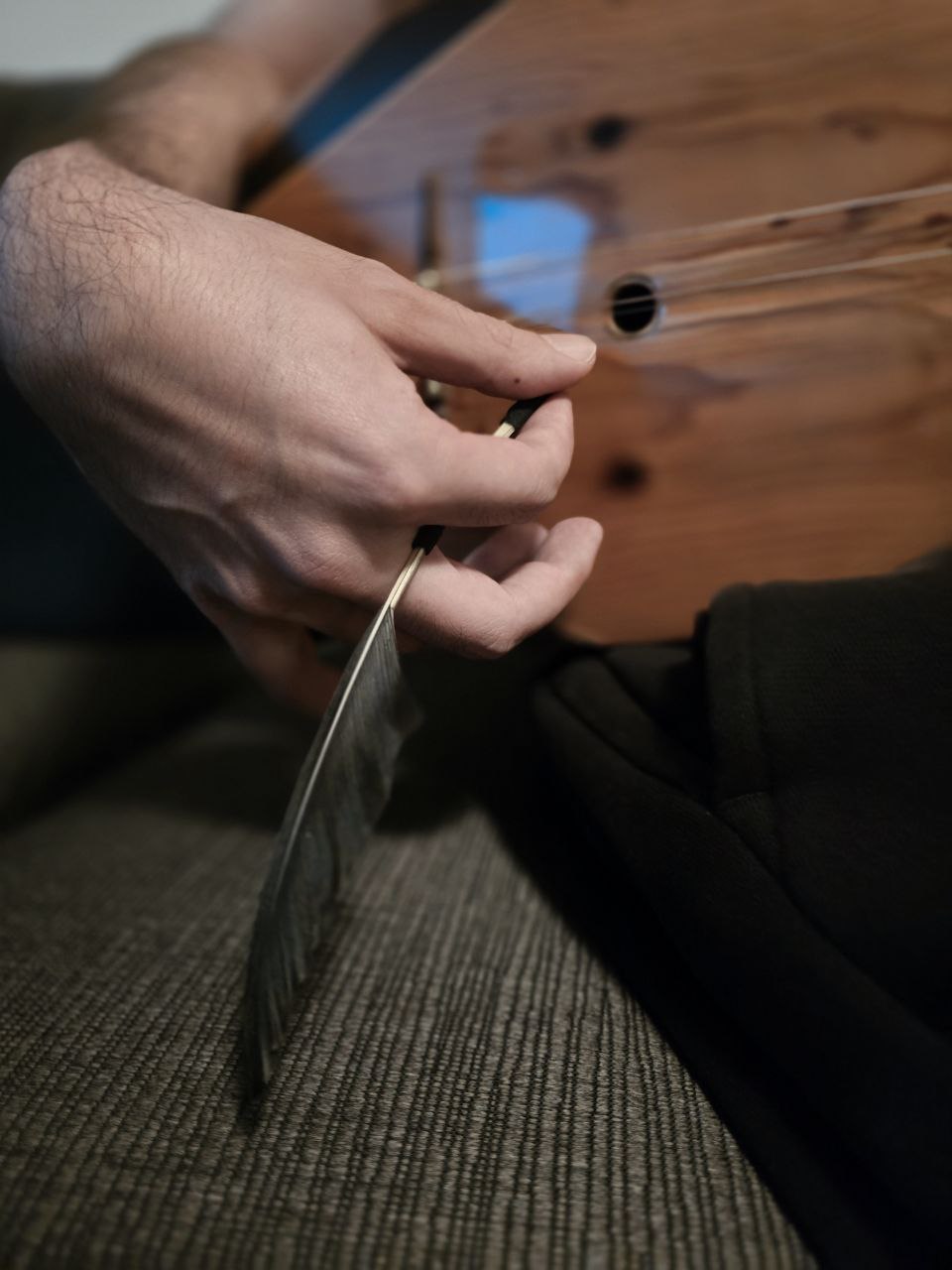 Feather quill plectrum