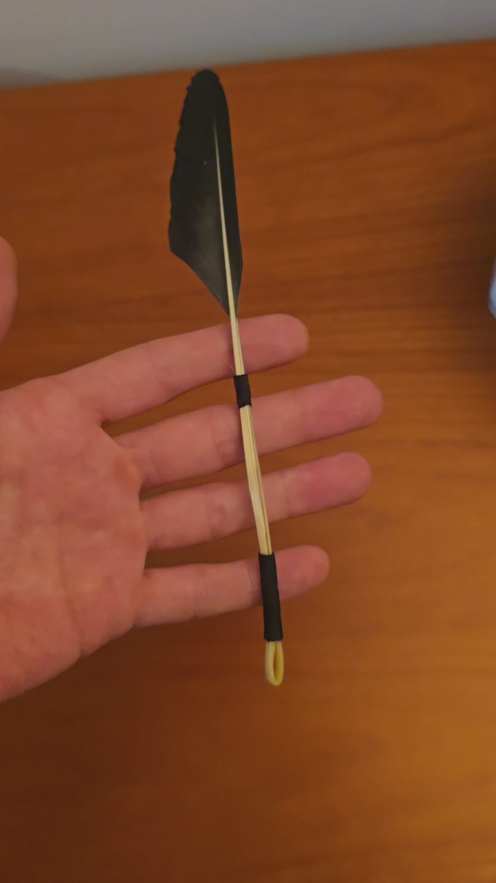 Feather quill plectrum